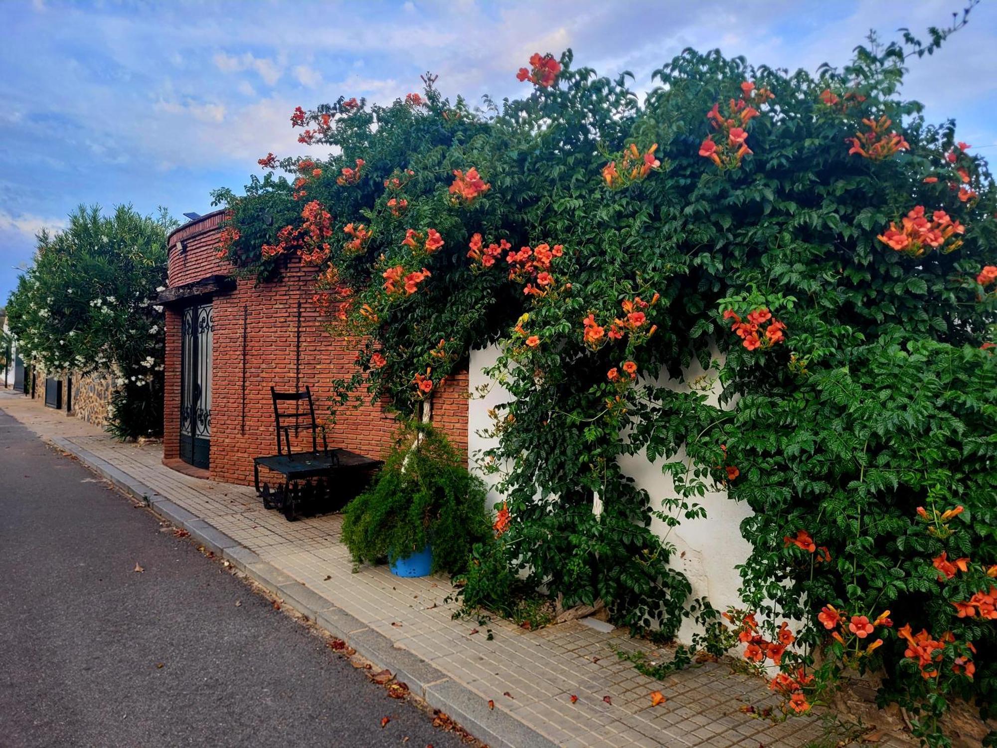 Complejo Rural El Soldado Villa Villanueva del Duque Exterior foto